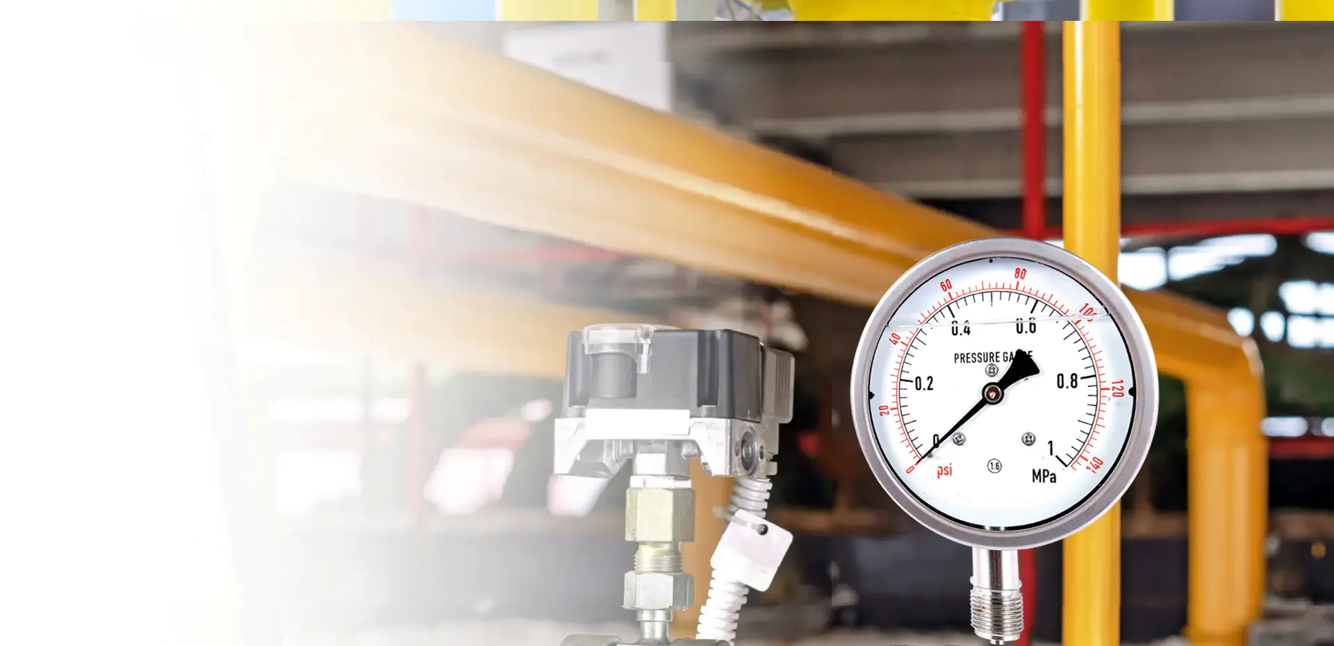 Guarantee High Quality With Our Expertise