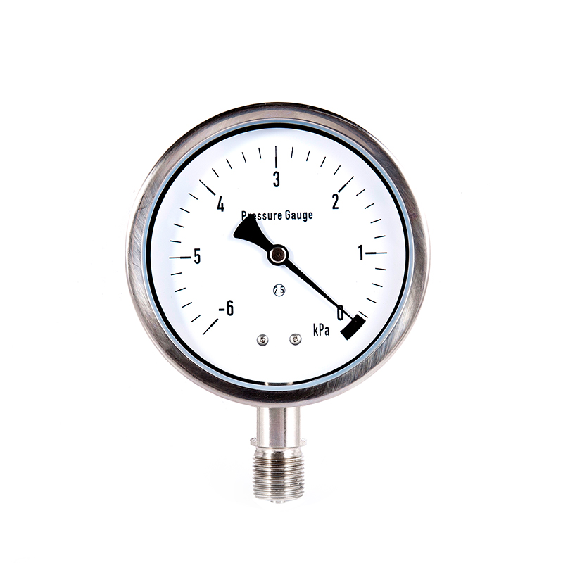 YEB series stainless steel diaphragm pressure gauge